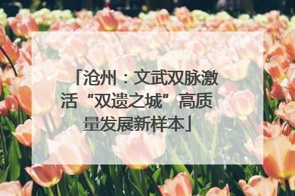 沧州：文武双脉激活“双遗之城”高质量发展新样本