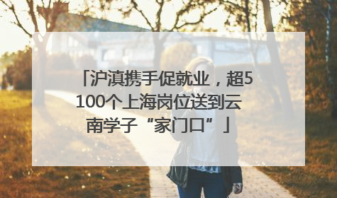 沪滇携手促就业，超5100个上海岗位送到云南学子“家门口”