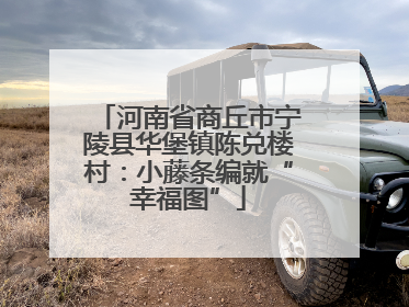 河南省商丘市宁陵县华堡镇陈兑楼村：小藤条编就“幸福图”