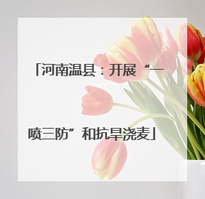 河南温县：开展“一喷三防”和抗旱浇麦