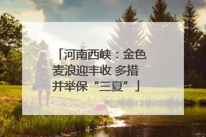 河南西峡：金色麦浪迎丰收 多措并举保“三夏”