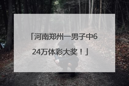 河南郑州一男子中624万体彩大奖！