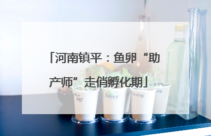 河南镇平：鱼卵“助产师”走俏孵化期