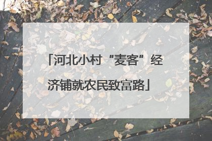 河北小村“麦客”经济铺就农民致富路