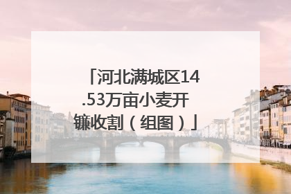 河北满城区14.53万亩小麦开镰收割（组图）