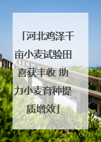 河北鸡泽千亩小麦试验田喜获丰收 助力小麦育种提质增效