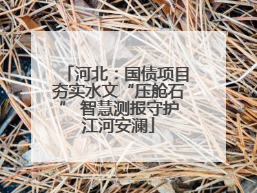 河北：国债项目夯实水文“压舱石” 智慧测报守护江河安澜