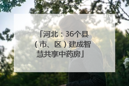 河北：36个县（市、区）建成智慧共享中药房