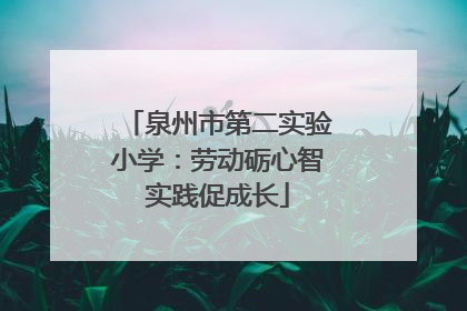 泉州市第二实验小学：劳动砺心智实践促成长
