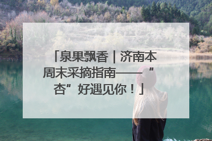 泉果飘香｜济南本周末采摘指南——“杏”好遇见你！