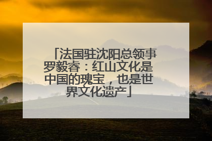 法国驻沈阳总领事罗毅睿：红山文化是中国的瑰宝，也是世界文化遗产