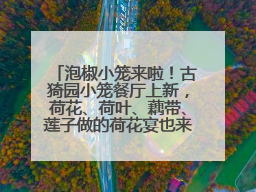 泡椒小笼来啦！古猗园小笼餐厅上新，荷花、荷叶、藕带、莲子做的荷花宴也来尝一下？