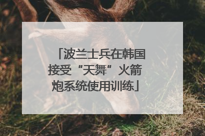 波兰士兵在韩国接受“天舞”火箭炮系统使用训练