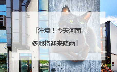 注意！今天河南多地将迎来降雨