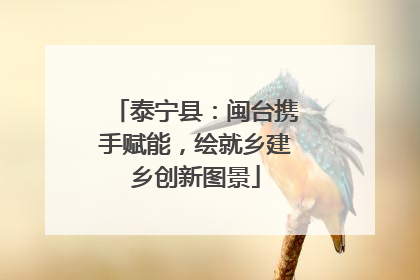 泰宁县：闽台携手赋能，绘就乡建乡创新图景
