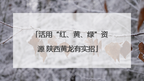 活用“红、黄、绿”资源 陕西黄龙有实招