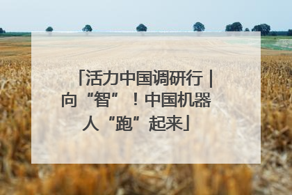 活力中国调研行｜向“智”！中国机器人“跑”起来