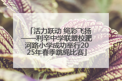 活力跃动 绳彩飞扬——利辛中学联盟校淝河路小学成功举行2025年春季跳绳比赛