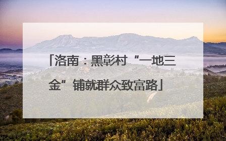 洛南：黑彰村“一地三金”铺就群众致富路