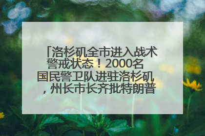 洛杉矶全市进入战术警戒状态！2000名国民警卫队进驻洛杉矶，州长市长齐批特朗普“制造混乱”