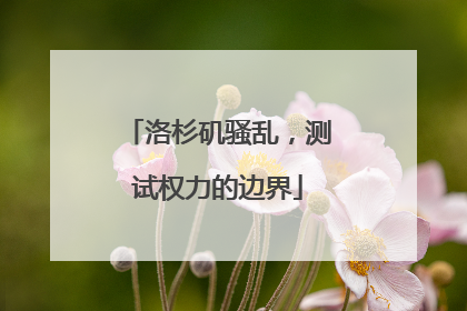 洛杉矶骚乱，测试权力的边界