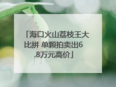 海口火山荔枝王大比拼 单颗拍卖出6.8万元高价