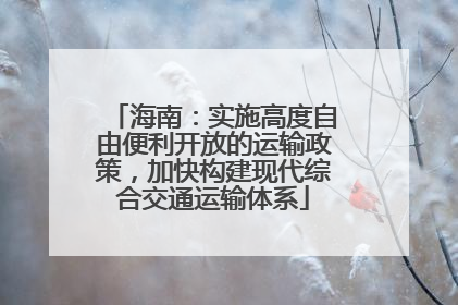 海南：实施高度自由便利开放的运输政策，加快构建现代综合交通运输体系