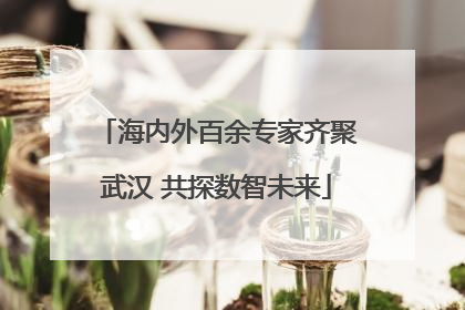 海内外百余专家齐聚武汉 共探数智未来