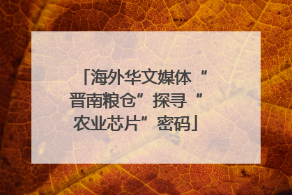 海外华文媒体“晋南粮仓”探寻“农业芯片”密码