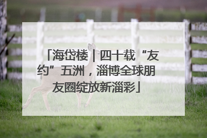 海岱楼｜四十载“友约”五洲，淄博全球朋友圈绽放新淄彩