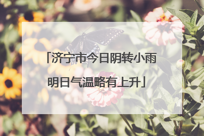 济宁市今日阴转小雨 明日气温略有上升