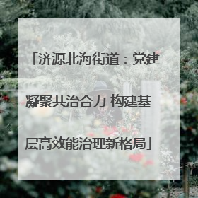 济源北海街道：党建凝聚共治合力 构建基层高效能治理新格局