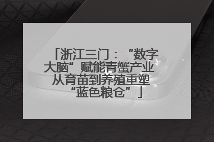 浙江三门：“数字大脑”赋能青蟹产业 从育苗到养殖重塑“蓝色粮仓”