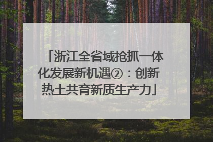 浙江全省域抢抓一体化发展新机遇②：创新热土共育新质生产力
