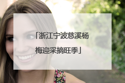 浙江宁波慈溪杨梅迎采摘旺季