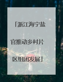浙江海宁盐官推动乡村片区组团发展