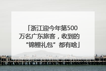 浙江迎今年第500万名广东旅客，收到的“锦鲤礼包”都有啥