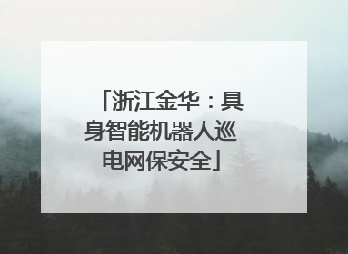 浙江金华：具身智能机器人巡电网保安全