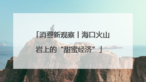 消费新观察丨海口火山岩上的“甜蜜经济”