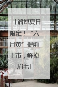 淄博夏日限定！“六月黄”提前上市，鲜掉眉毛