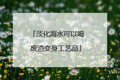 淡化海水可以喝 废渣变身工艺品