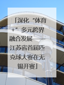 深化“体育+”多元跨界融合发展——江苏省首届匹克球大赛在无锡开赛