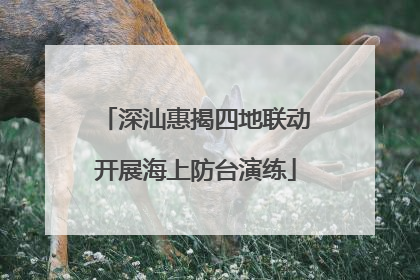 深汕惠揭四地联动开展海上防台演练