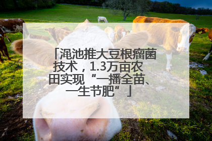 渑池推大豆根瘤菌技术，1.3万亩农田实现“一播全苗、一生节肥”