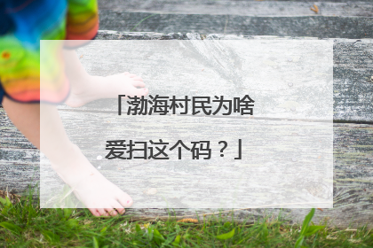 渤海村民为啥爱扫这个码？