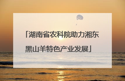 湖南省农科院助力湘东黑山羊特色产业发展