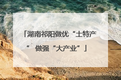 湖南祁阳做优“土特产” 做强“大产业”