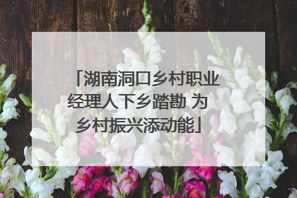 湖南洞口乡村职业经理人下乡踏勘 为乡村振兴添动能