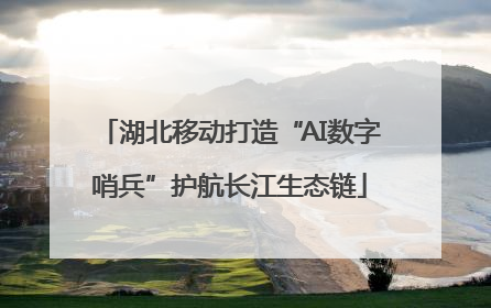 湖北移动打造“AI数字哨兵”护航长江生态链