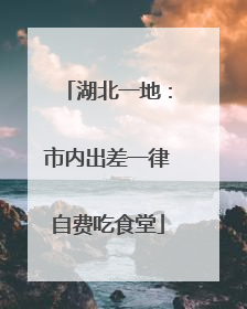 湖北一地：市内出差一律自费吃食堂